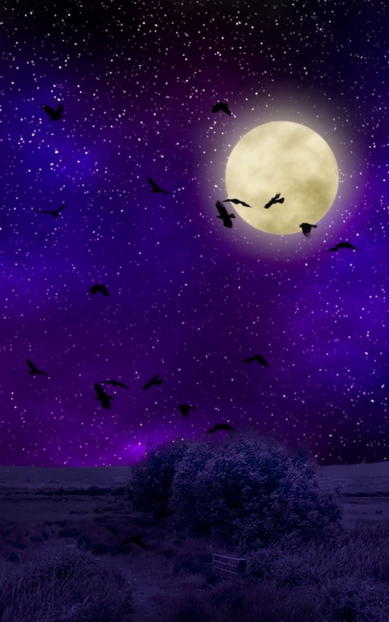 Ночь Луна звезды