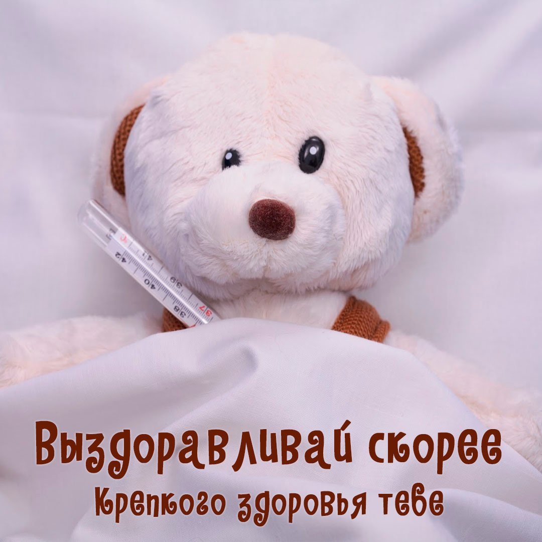 Картинки выздоравливайте женщине красивые с собачкой