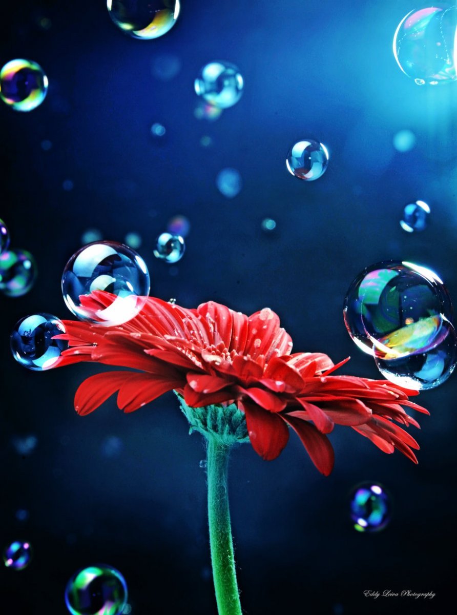 Красивые Неоновые цветы