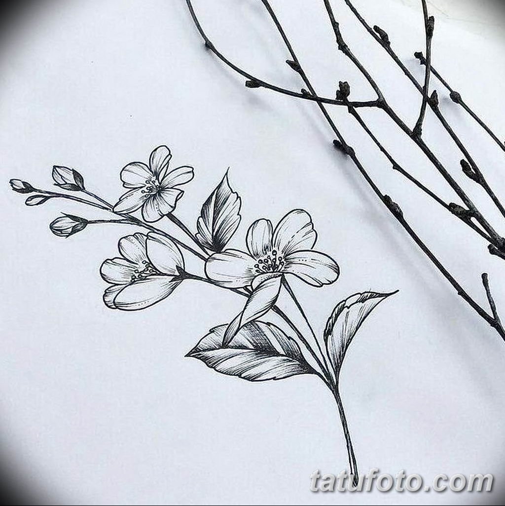 Ветка цветов тату эскиз