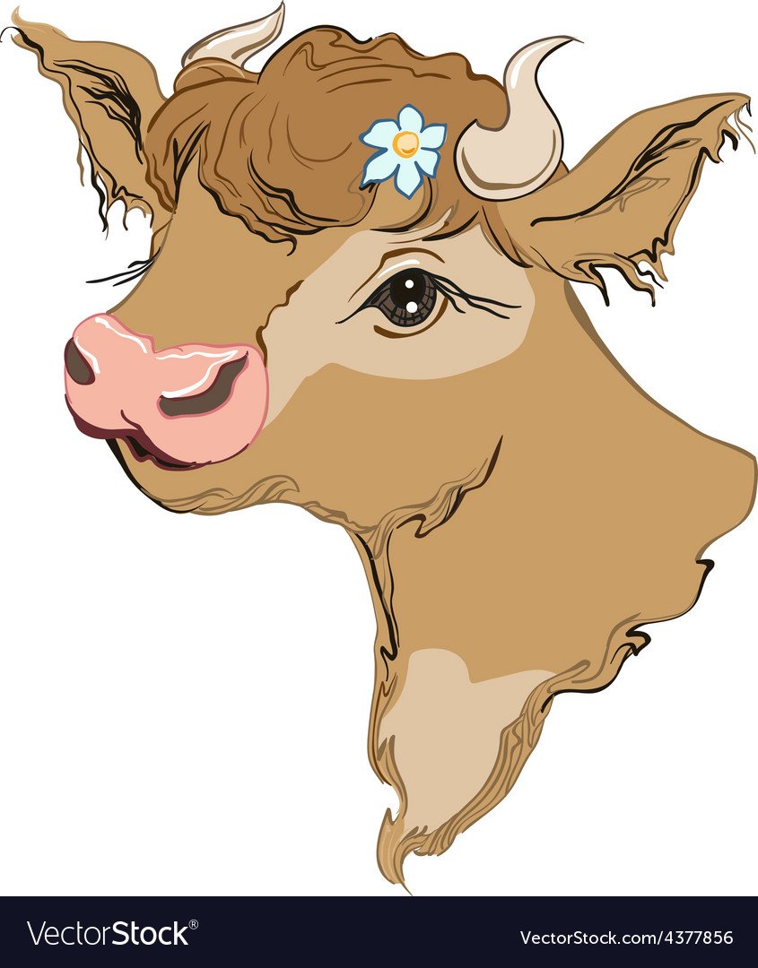 Контур головы коровы