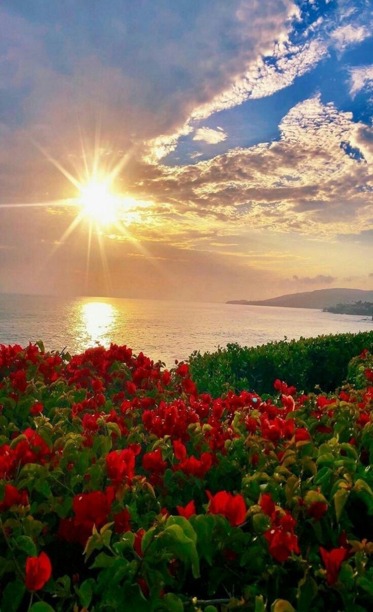 Красивый Восход