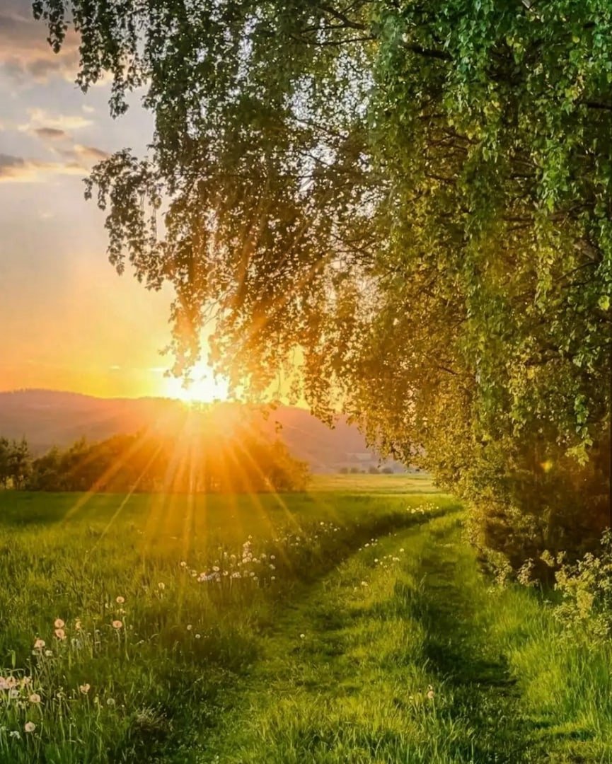 Красивый рассвет