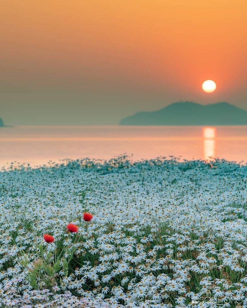 Природа летом рассвет