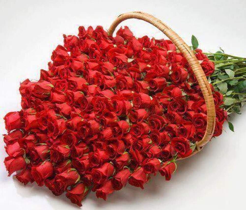 Самый красивый букет роз для любимой