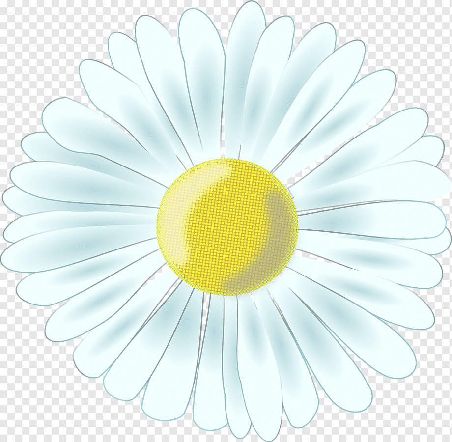 Ромашка карточка