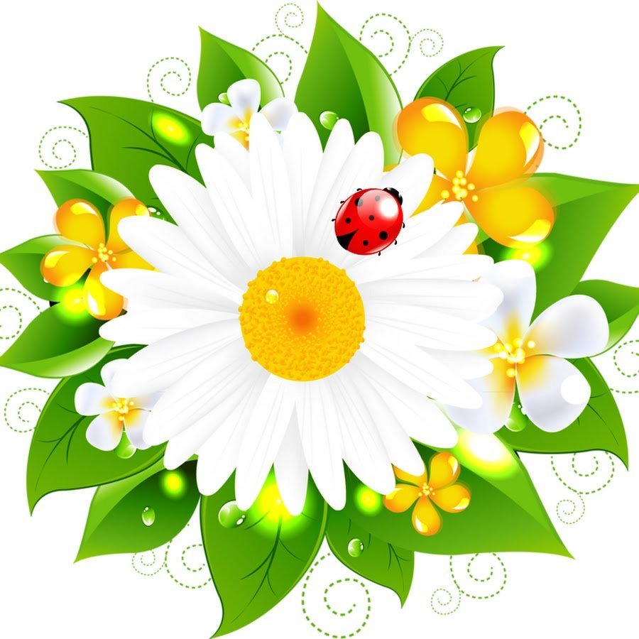 Ромашки мультяшные