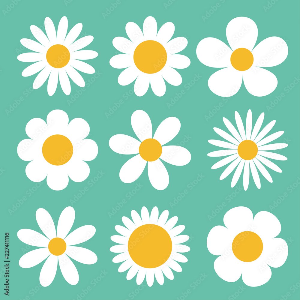 Ромашка пиктограмма