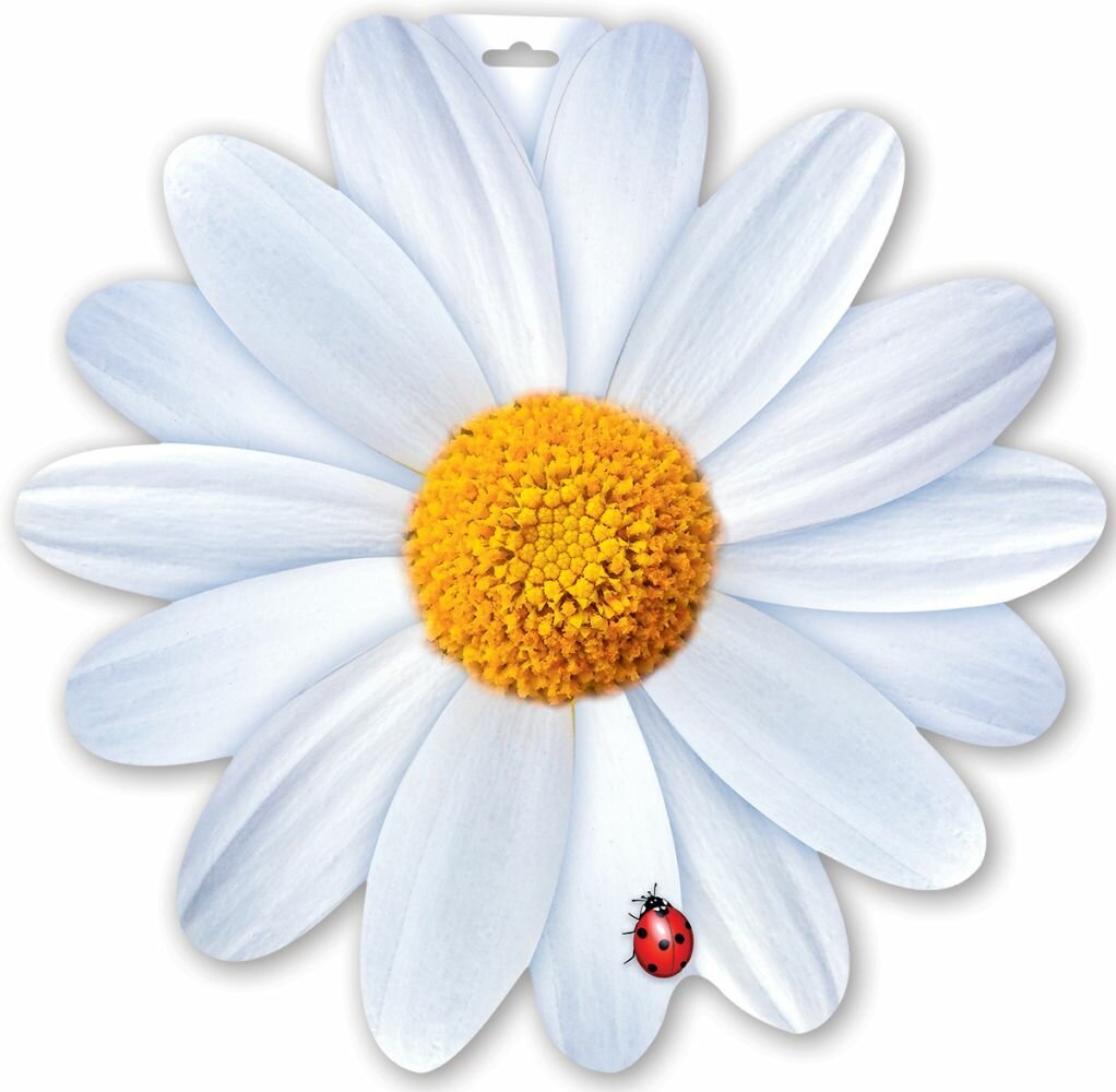 Ромашка для печати