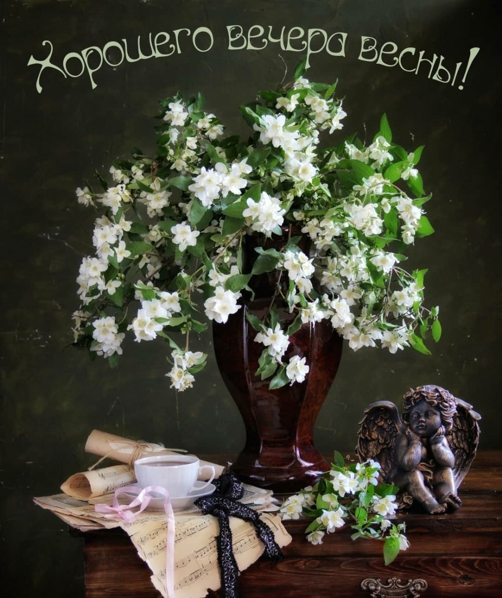 Душевного вечера