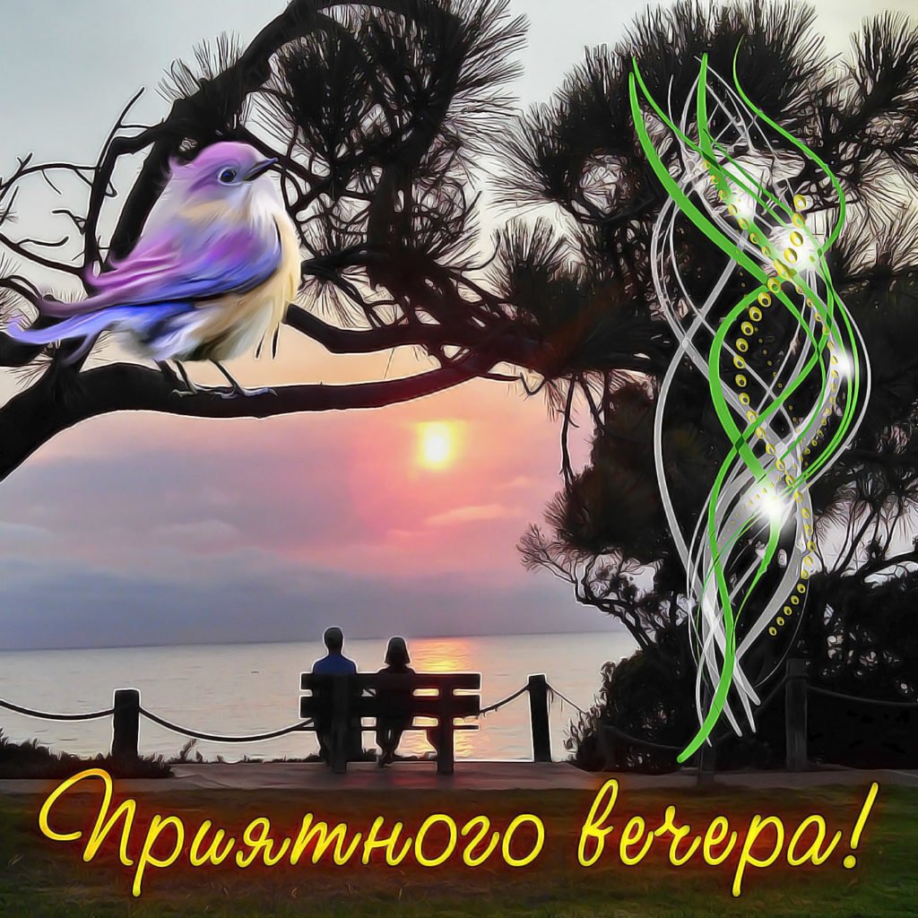 Доброй ночи