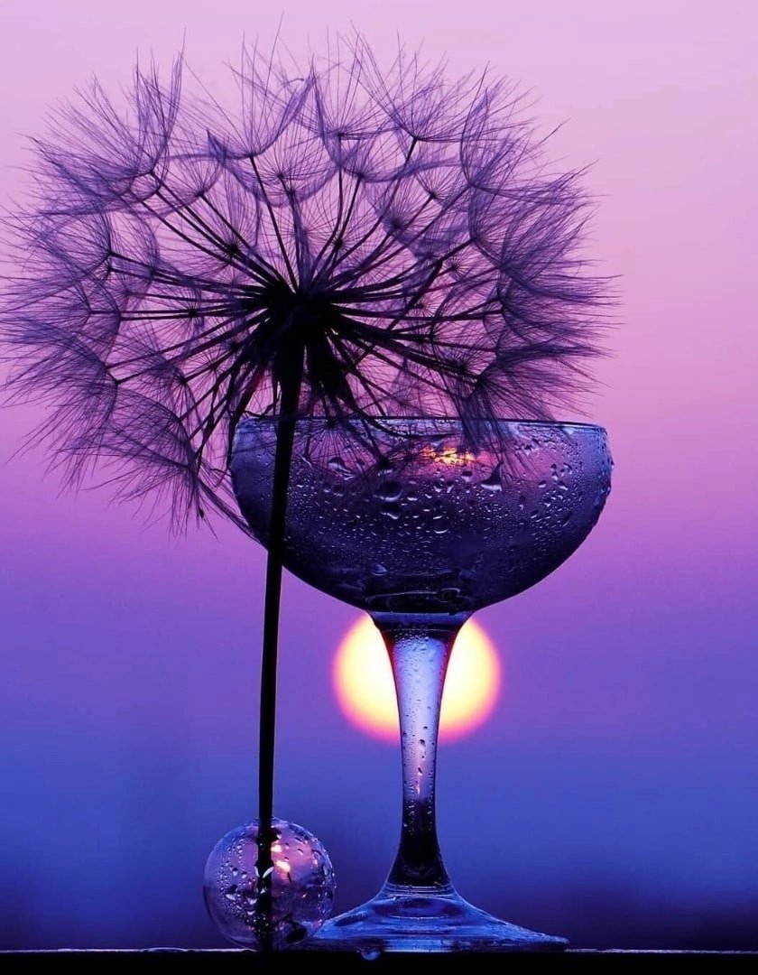 Уютный зимний вечер