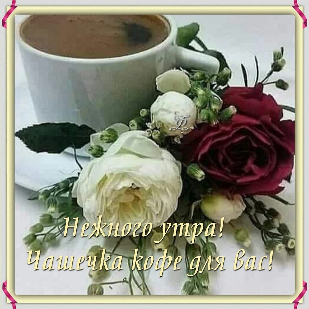 Красивые поздравления с добрым утром