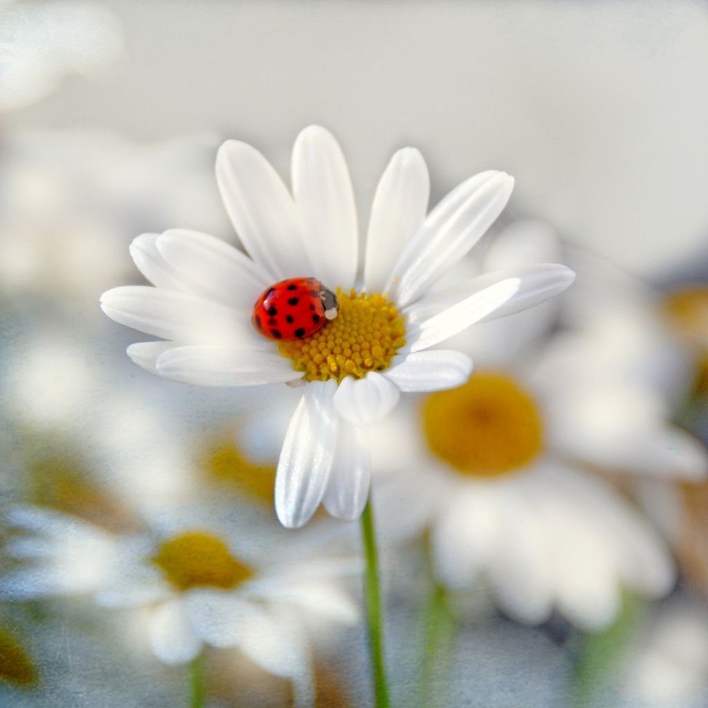 Доброе утро мой мальчик