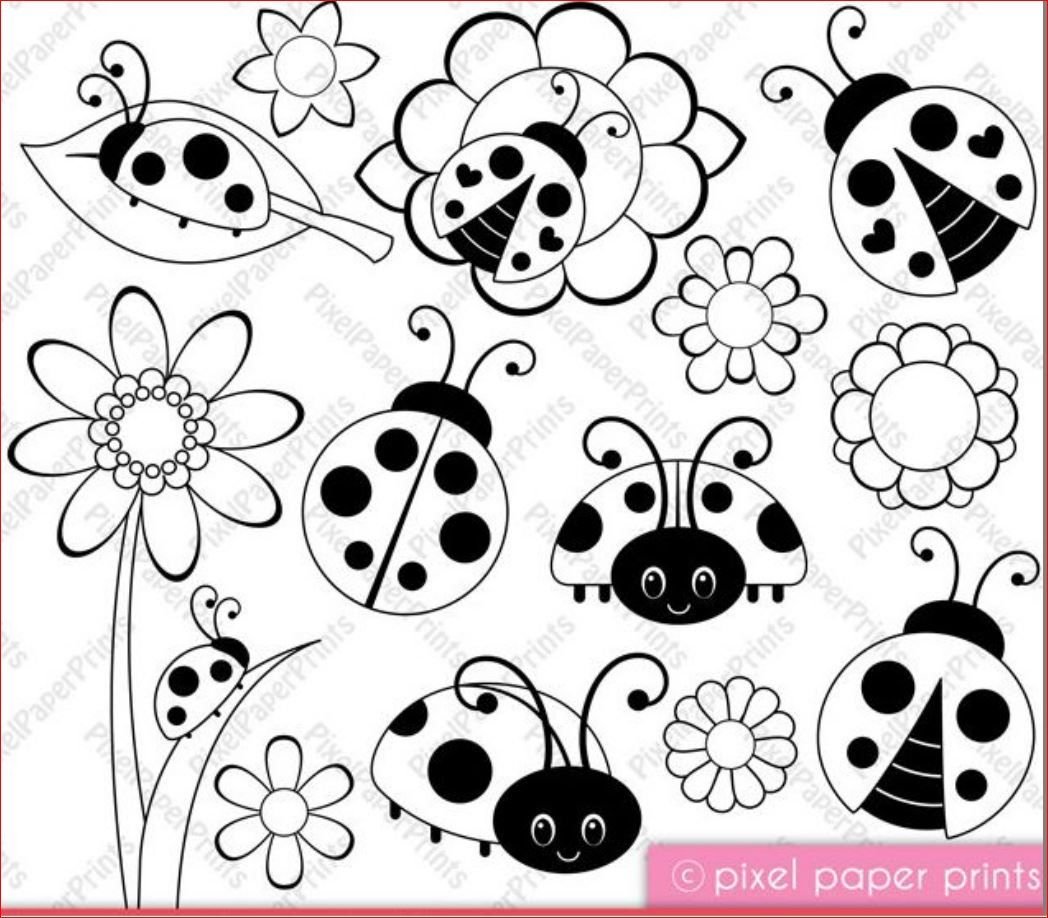Раскраска Божьи коровки много