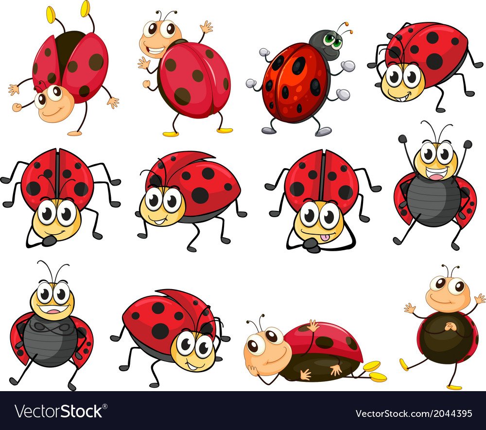 Много Божьих коровок рисунок