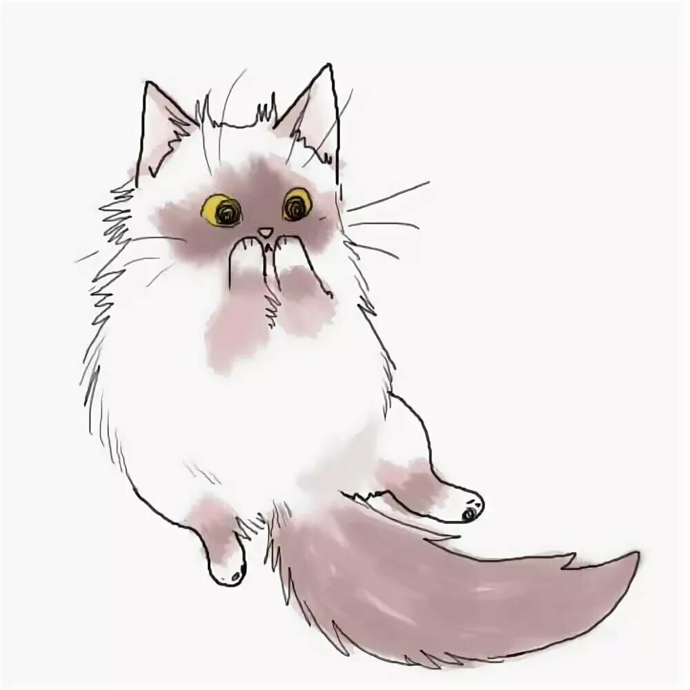 Милая открытка с котиком