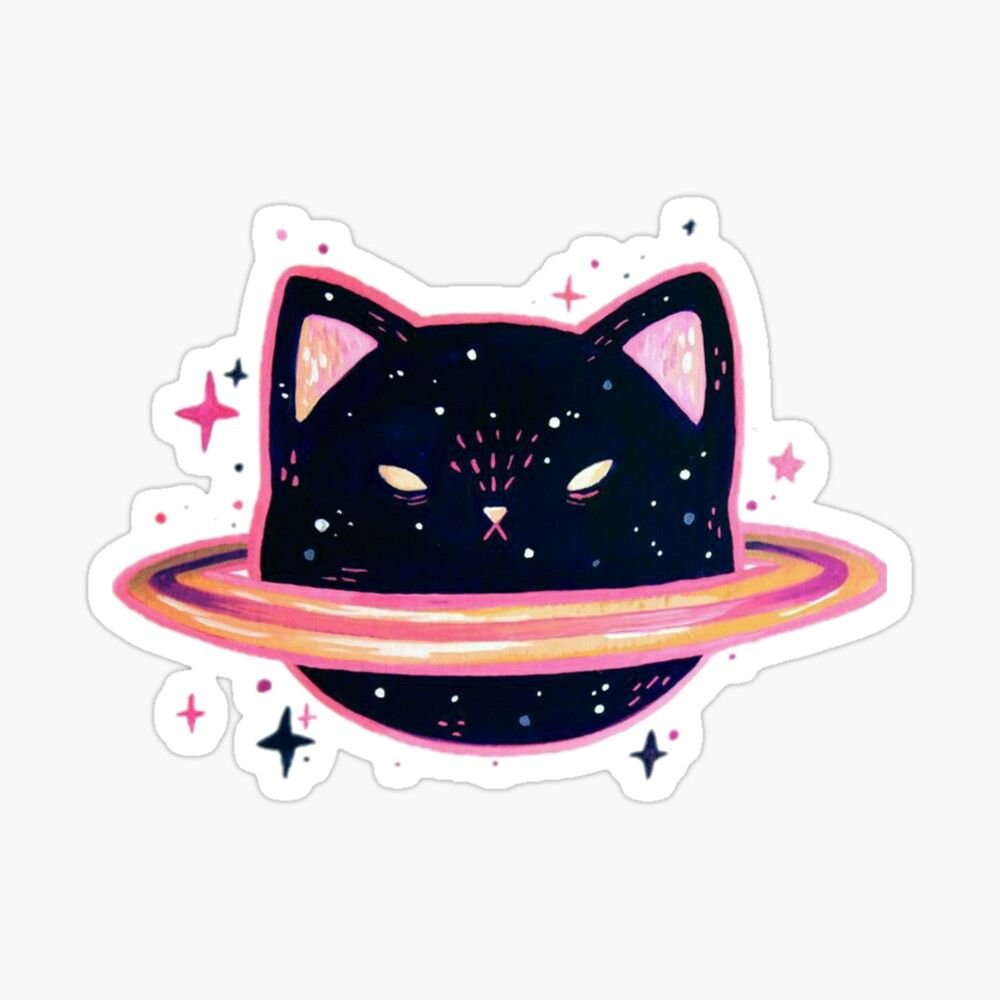 Котики Эстетика