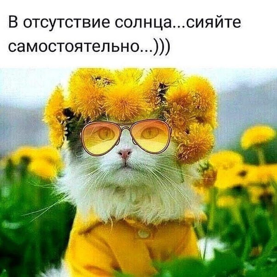 Солнце хорошее настроение