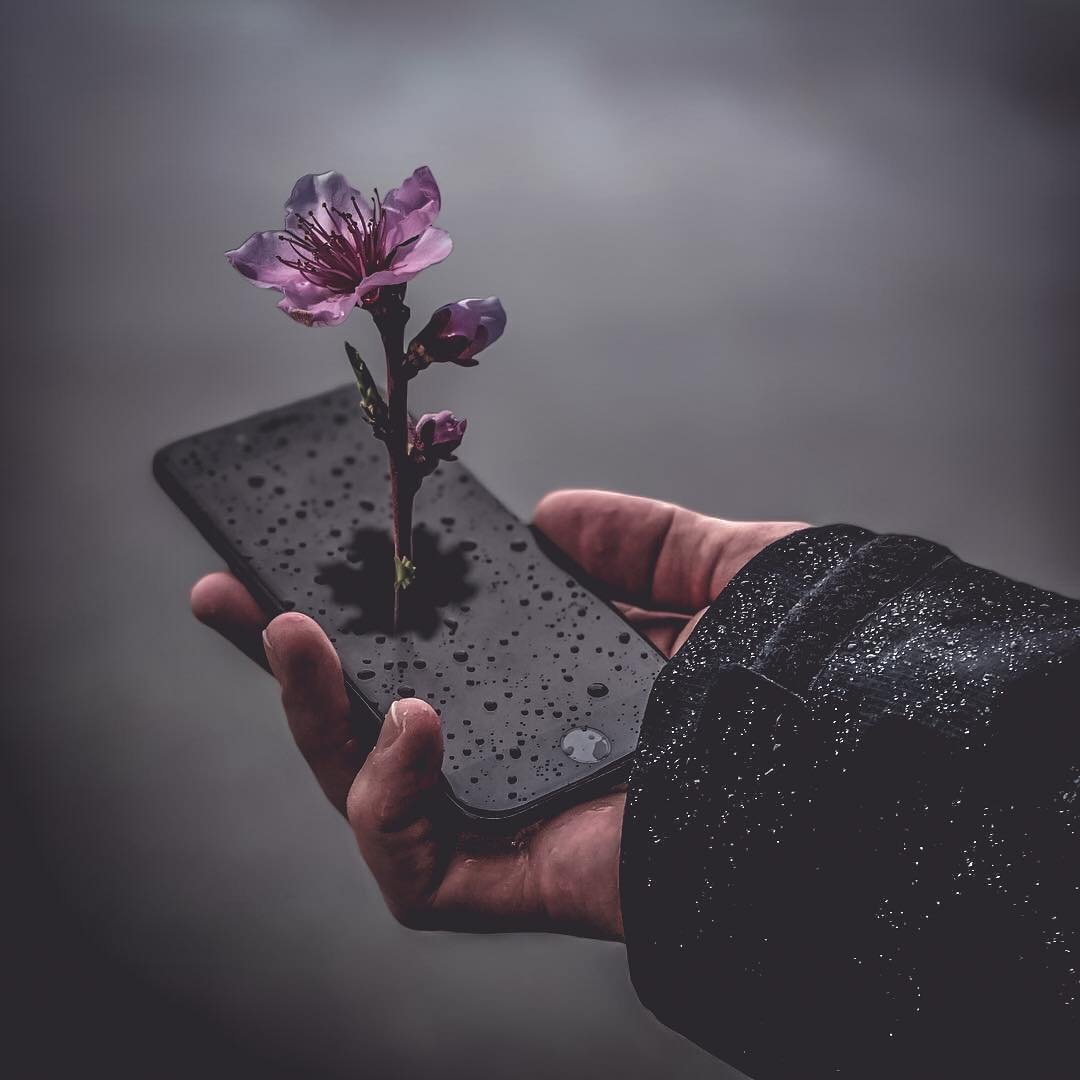 Стэн Уэсли (Stan Wesley) — страстный фотограф