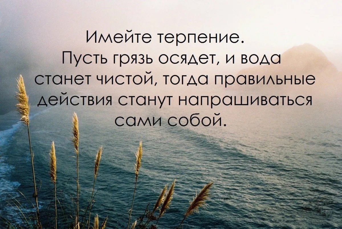 Терпение цитаты