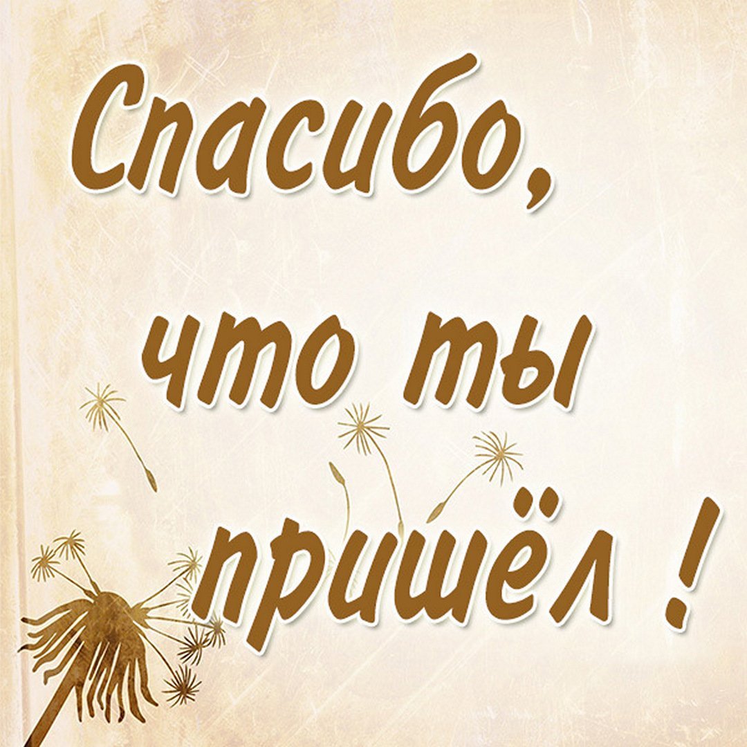 Спасибо что приехали