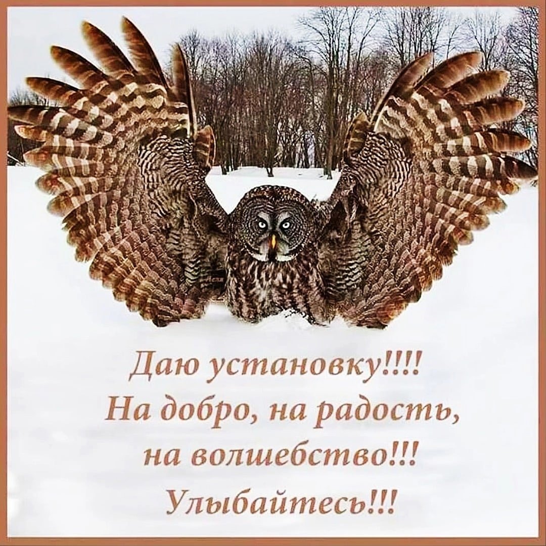 Хорошего дня Сова