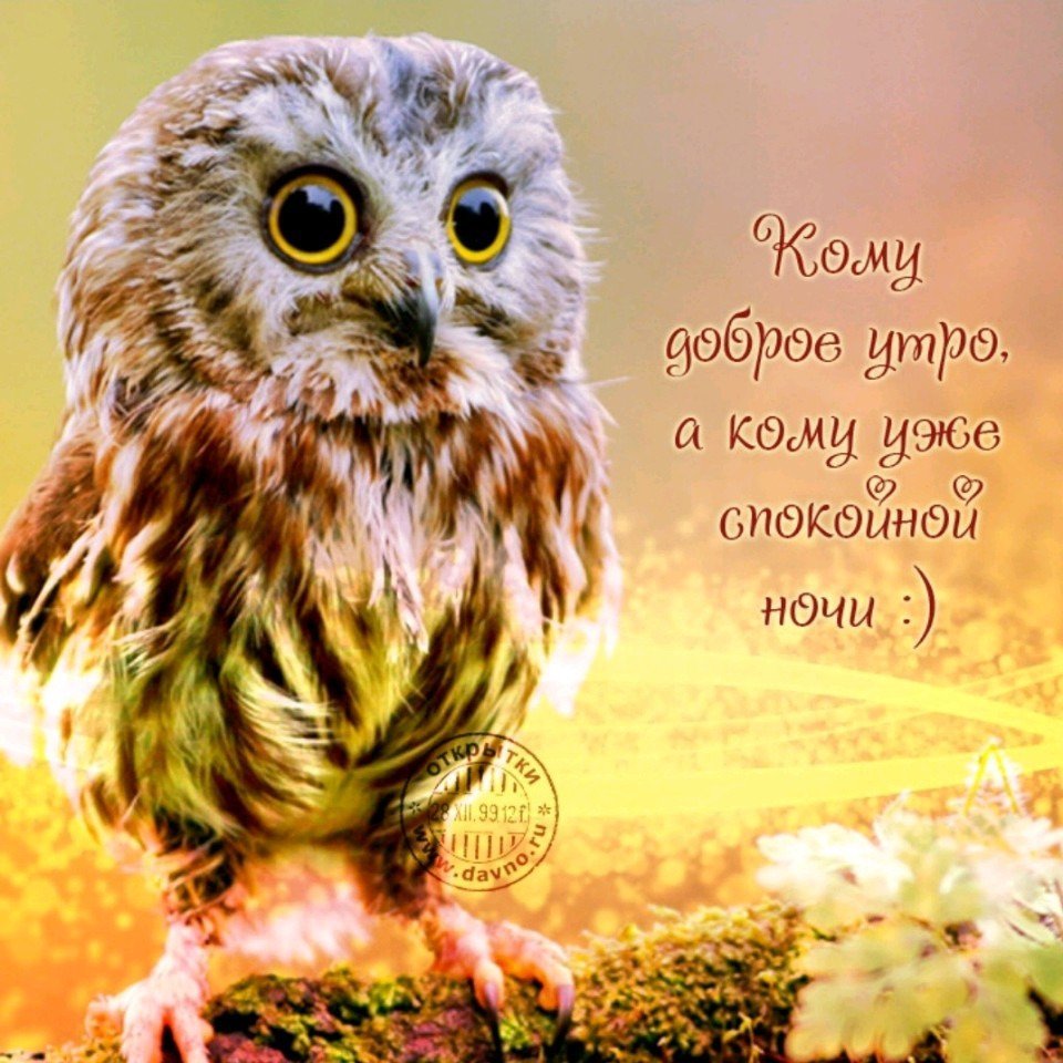 Открытки с добрым утром п