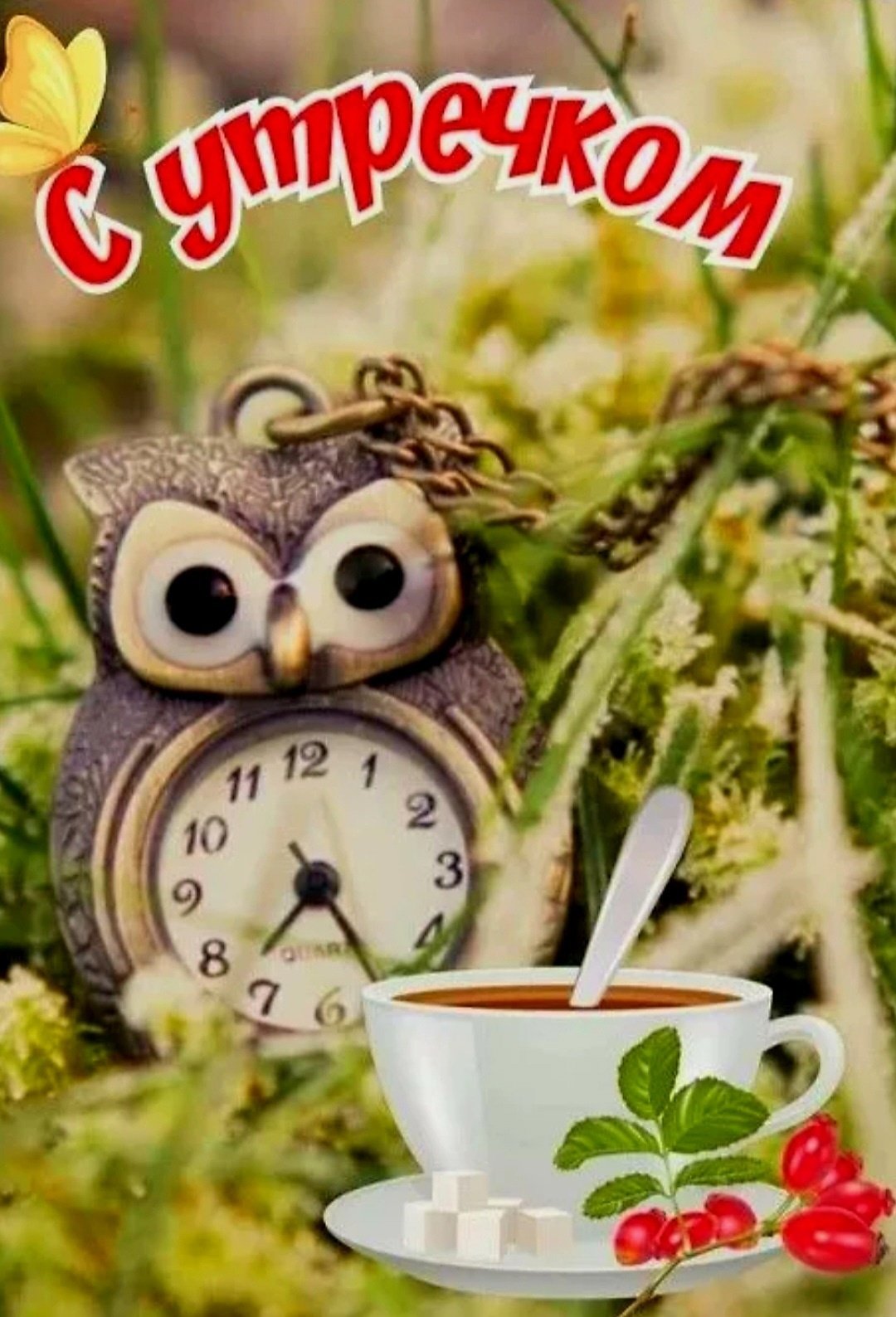 Доброе утро Сова