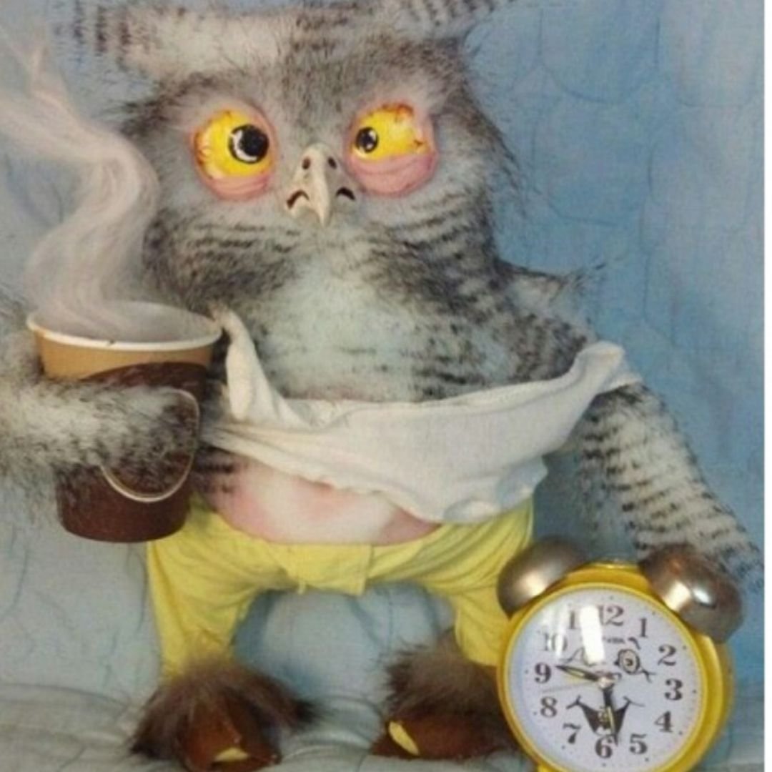 Сонная Сова