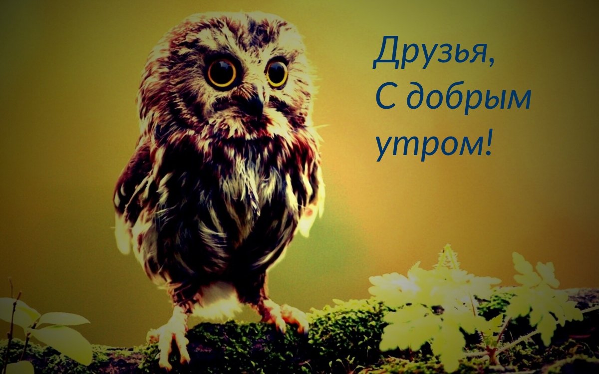 Доброе утро все будет хорошо