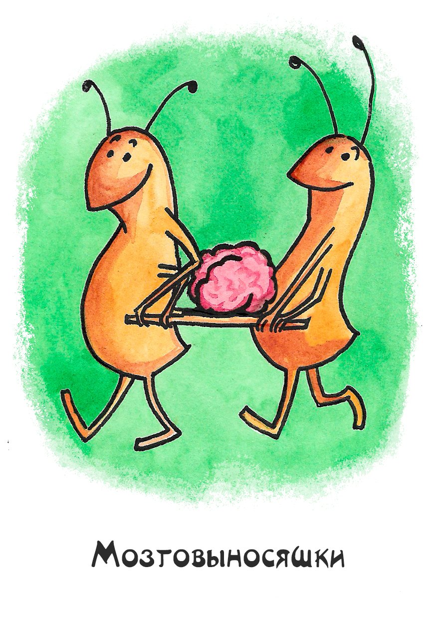 Метафорические карты тараканы