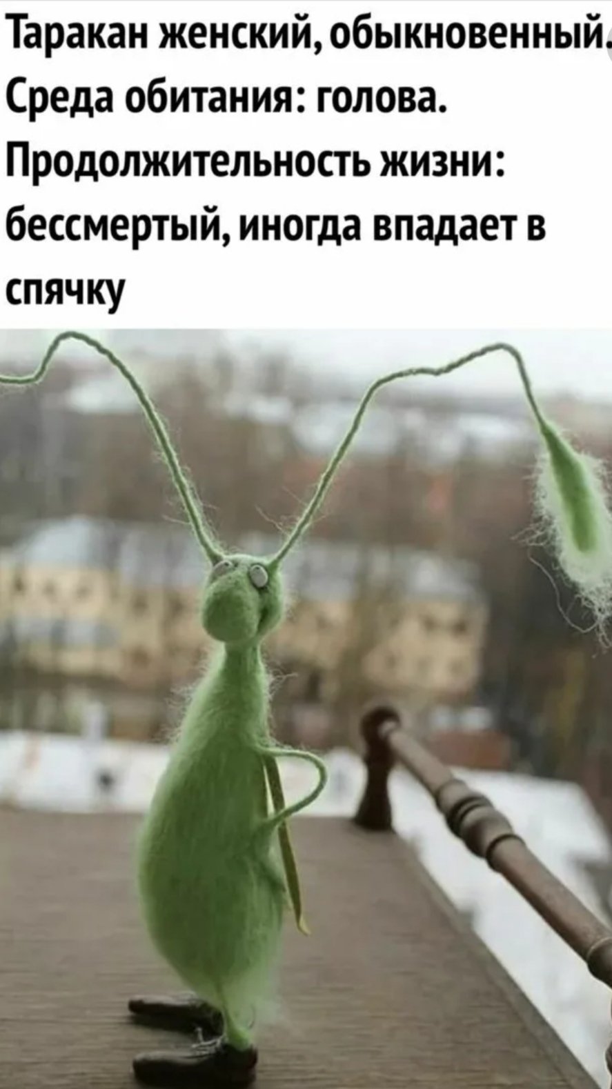 Тараканы в голове