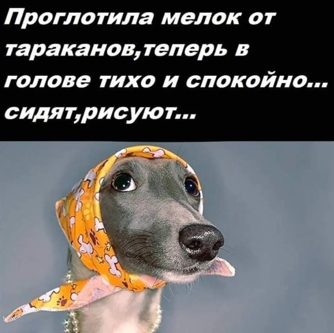 Тараканы в голове приколы