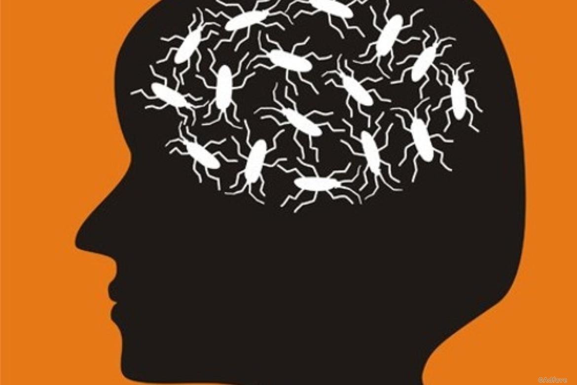 Статусы юмор сарказм