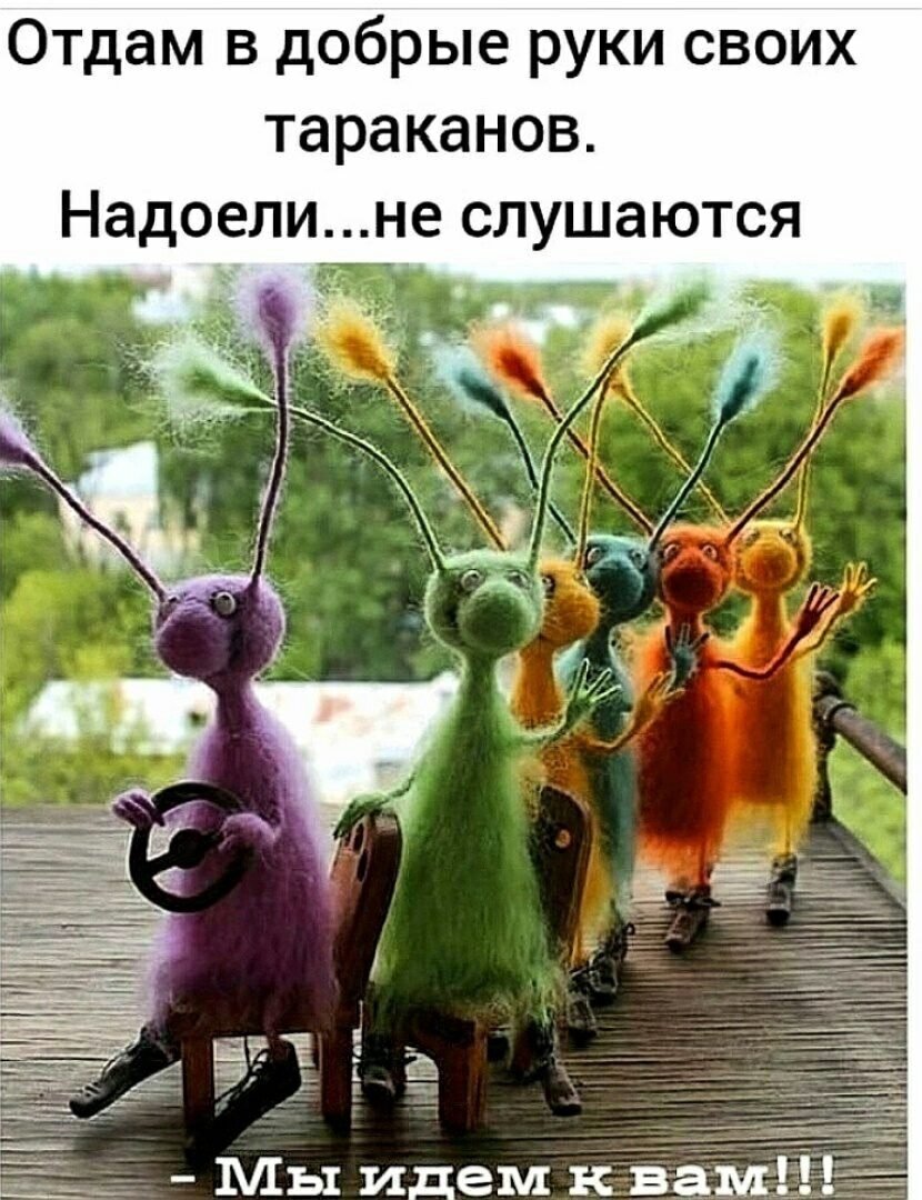 Приколы про тараканов в голове