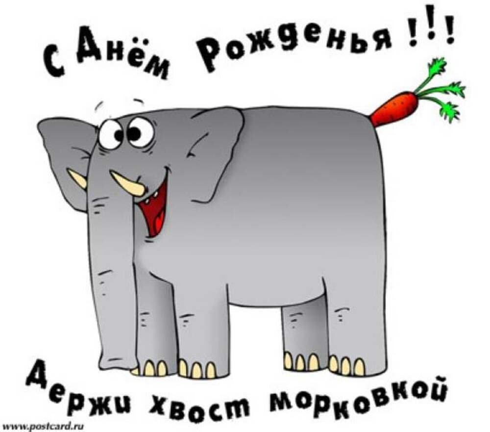 С днем рождения