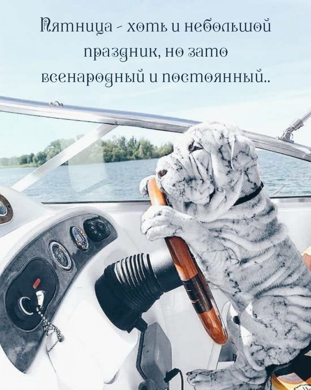 Доброе рабочее утро прикольные