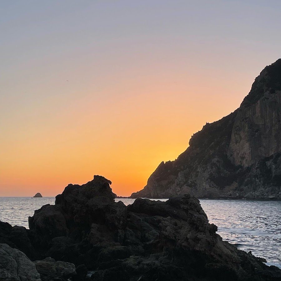 Милые кролики