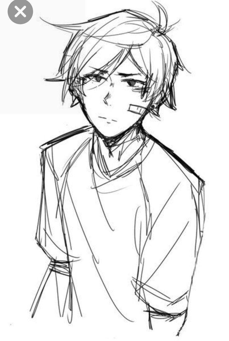 Леви Аккерман кот