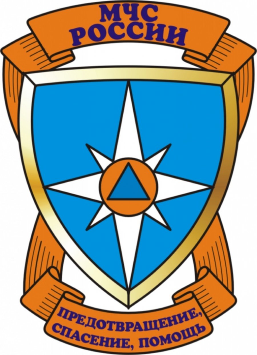 Геральдический знак эмблема МЧС России