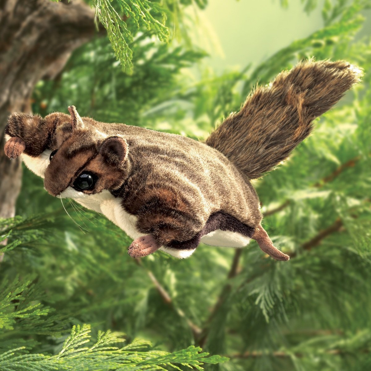 Обыкновенная летяга