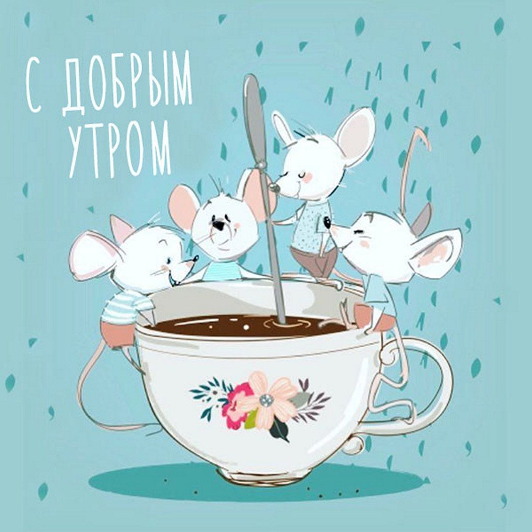 Котики пьют чай