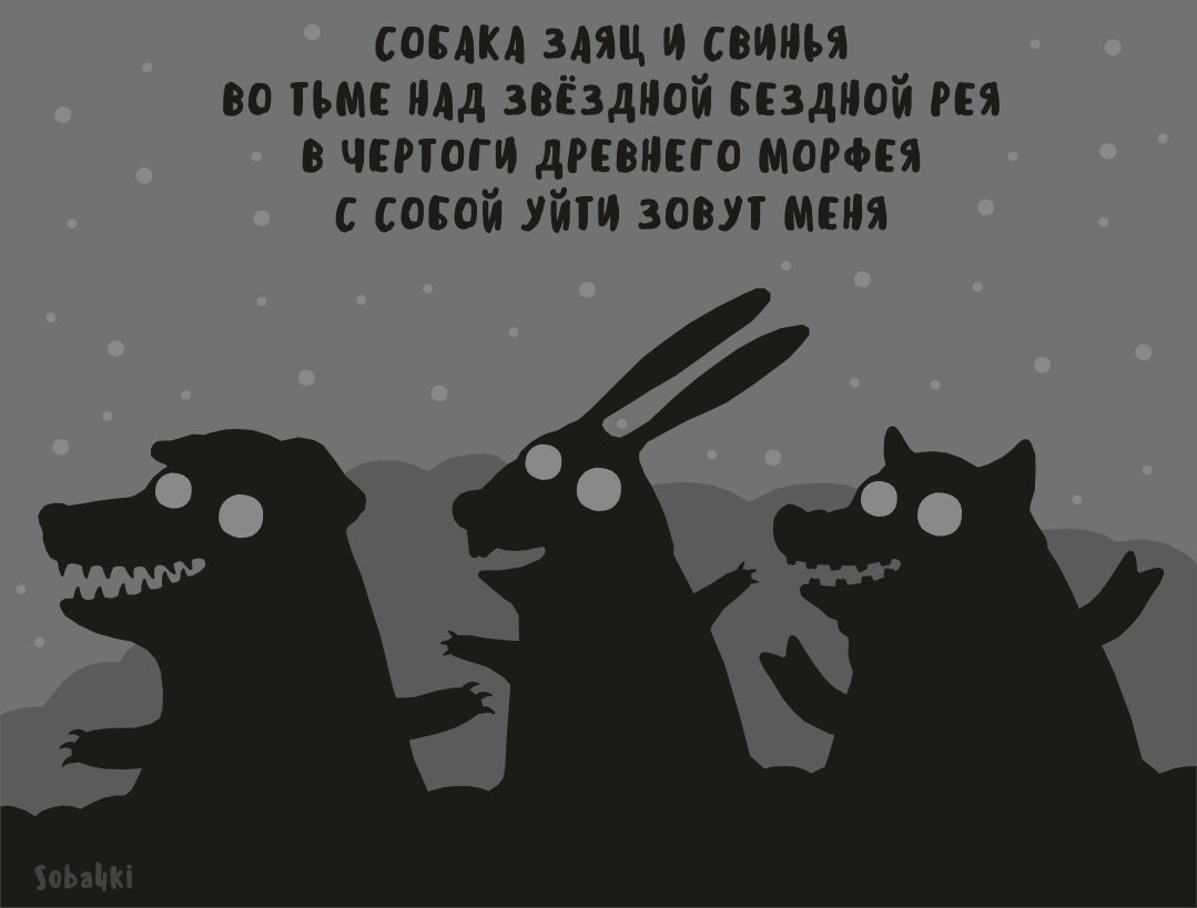 Доброй ночи прикол