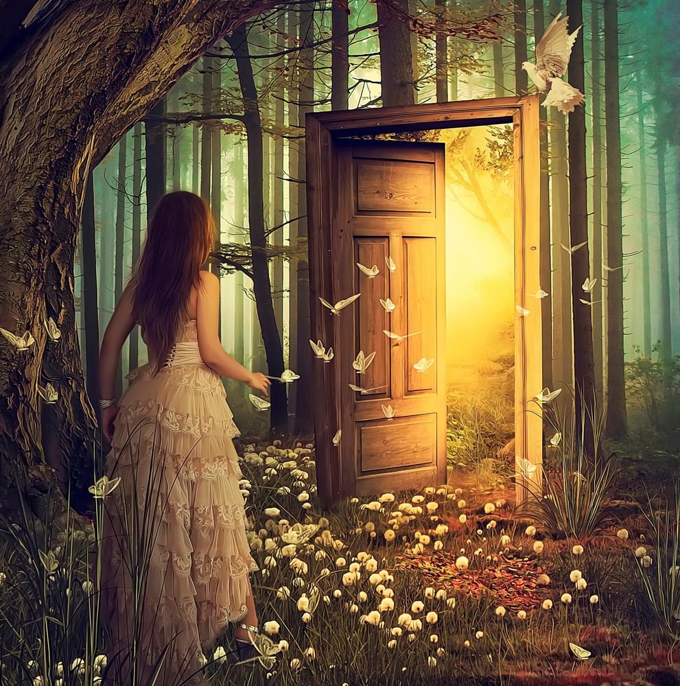 Дверь в счастье