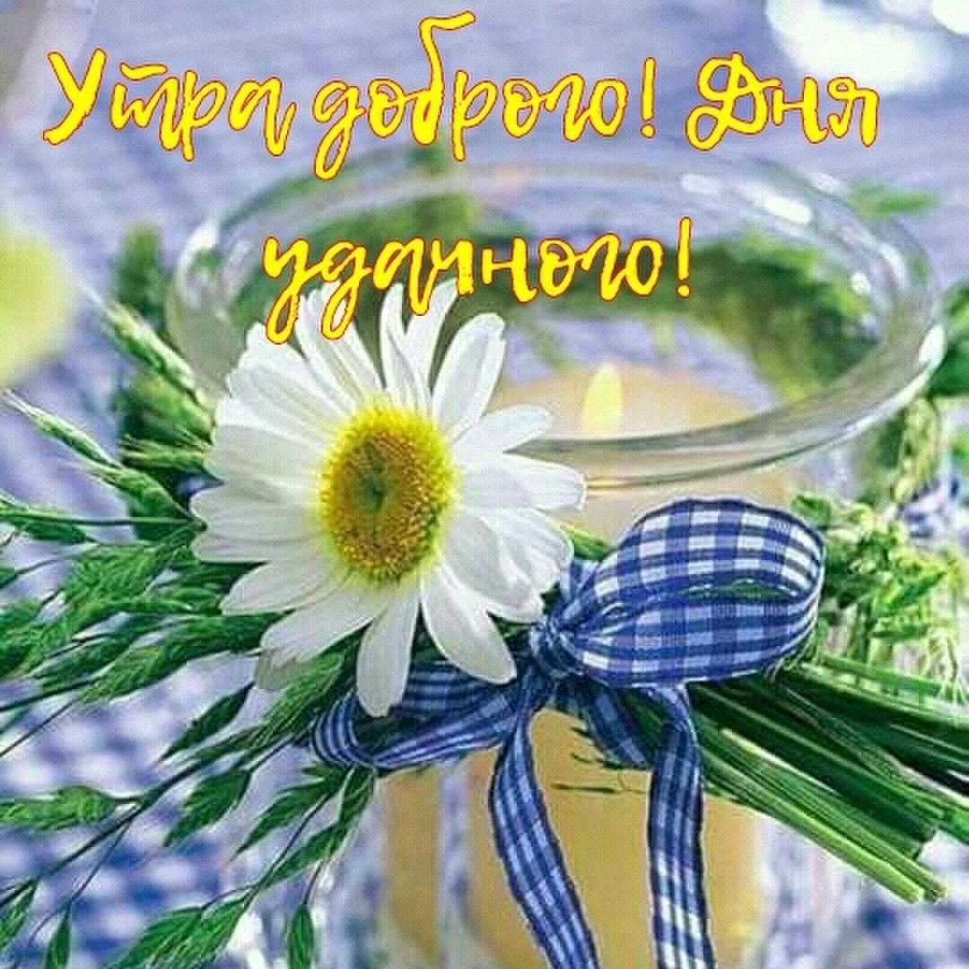 Доброе утро с птицами