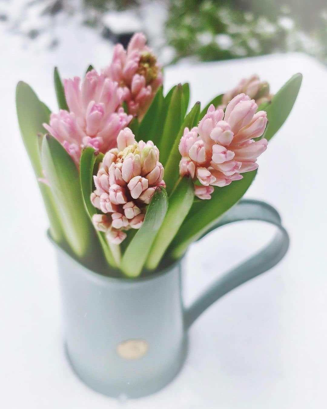 Доброе утро картинки