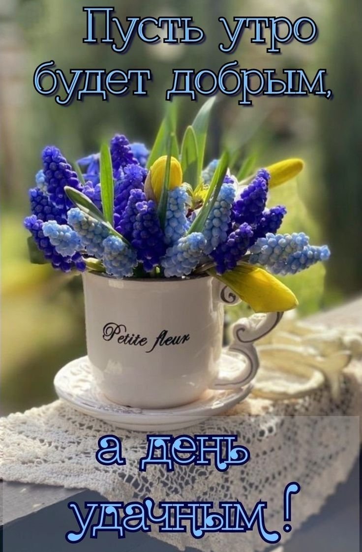 Доброе утро жизнь прекрасна
