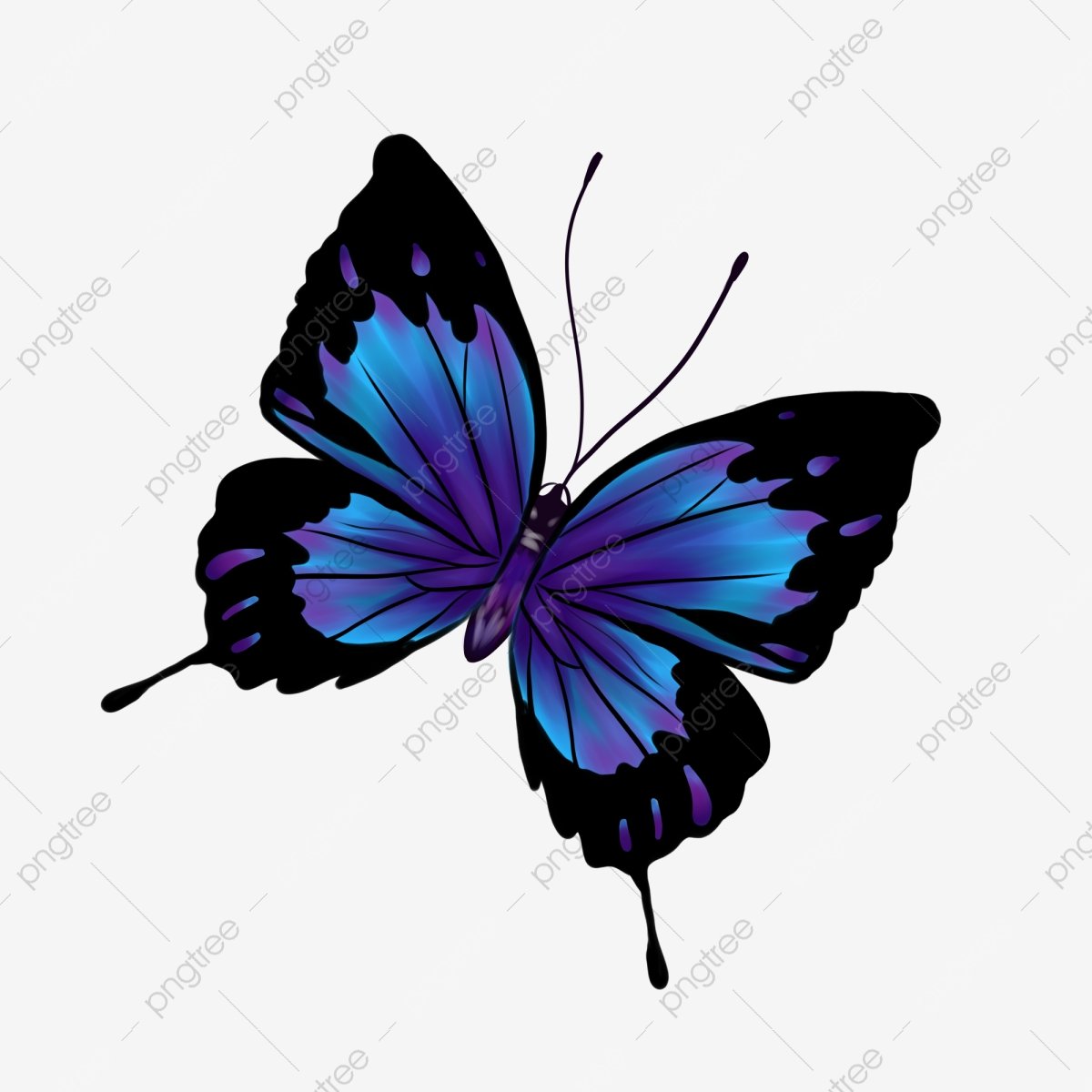 Бабочка рисунок