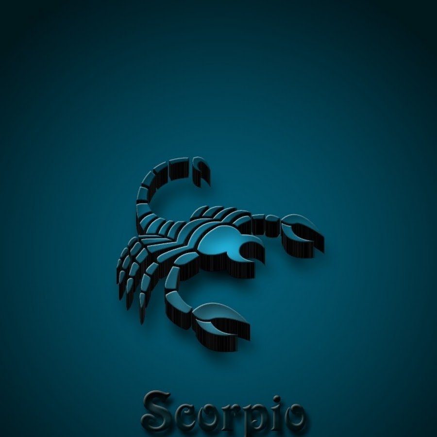 Скорпион на черном фоне